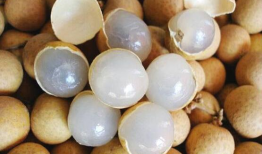 全国各地吃瓜爆料,各地吃瓜爆料大汇总