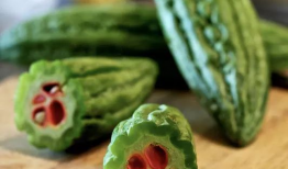 去哪吃瓜爆料,去哪吃瓜爆料，带你直击明星幕后故事