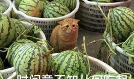 黑爆料吃瓜,娱乐圈吃瓜群众热议幕后真相